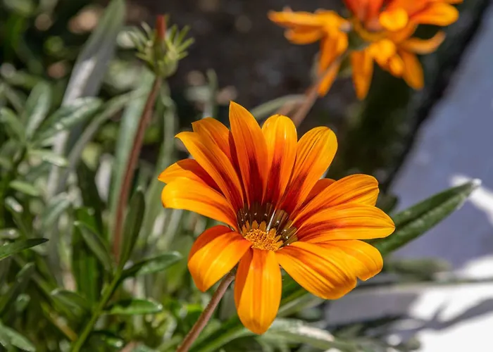 Michael Kritika (Corfu)